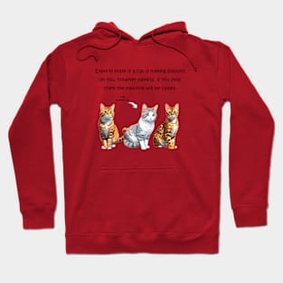 Experts state if a cat is making biscuits on you - funny watercolour cat design Hoodie